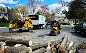 Best Lawn Drainage Solutions  in Stephens City, VA