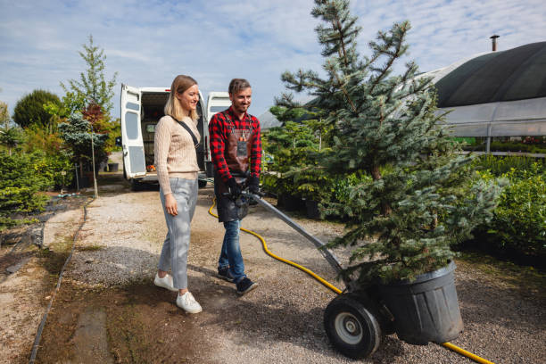 Best Tree Health Inspection  in Stephens City, VA